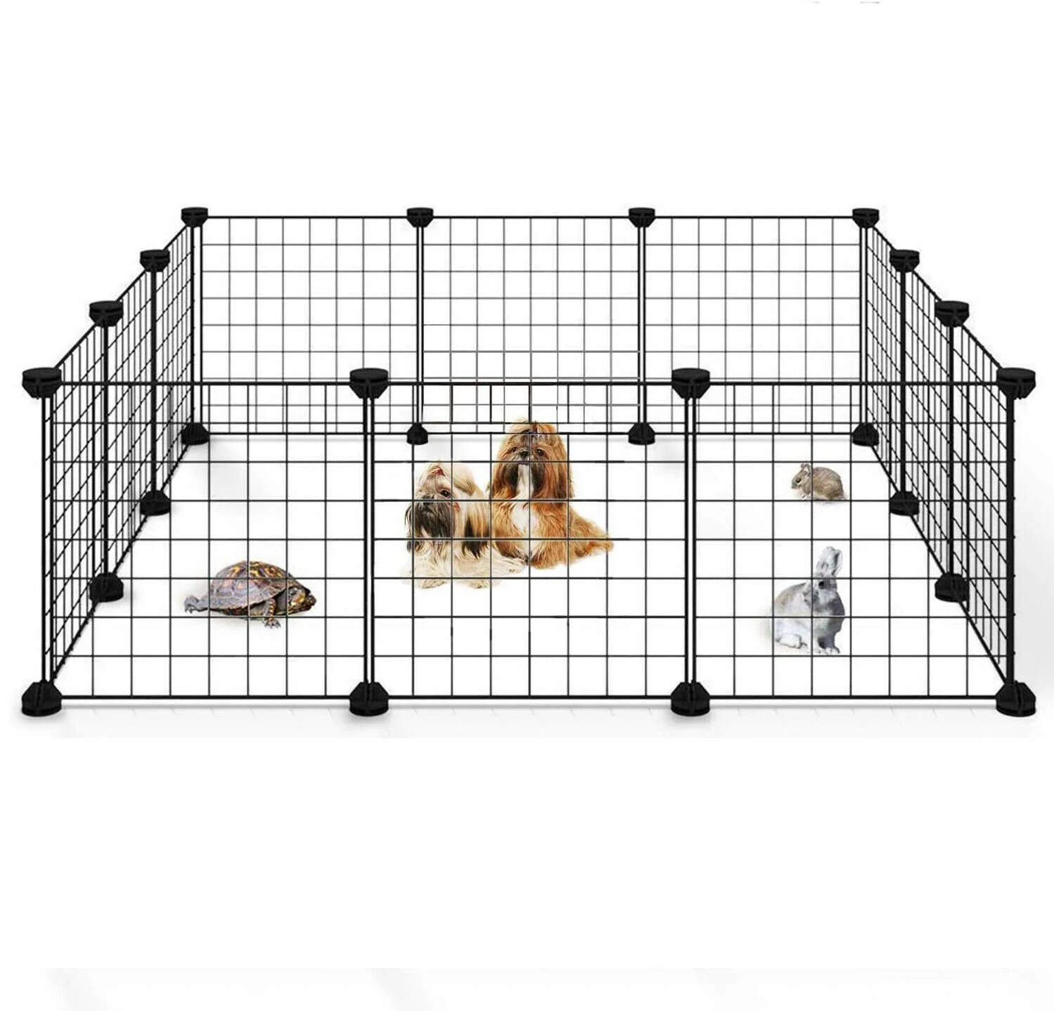 

Pet Products