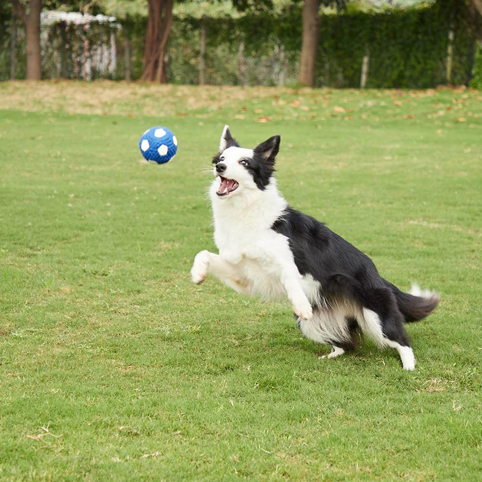 

Dog Toy Sports Latex Ball Voice Function Clean Teeth Enhance Feelings Molar Built-in Soft Doll Cotton Pet Toy
