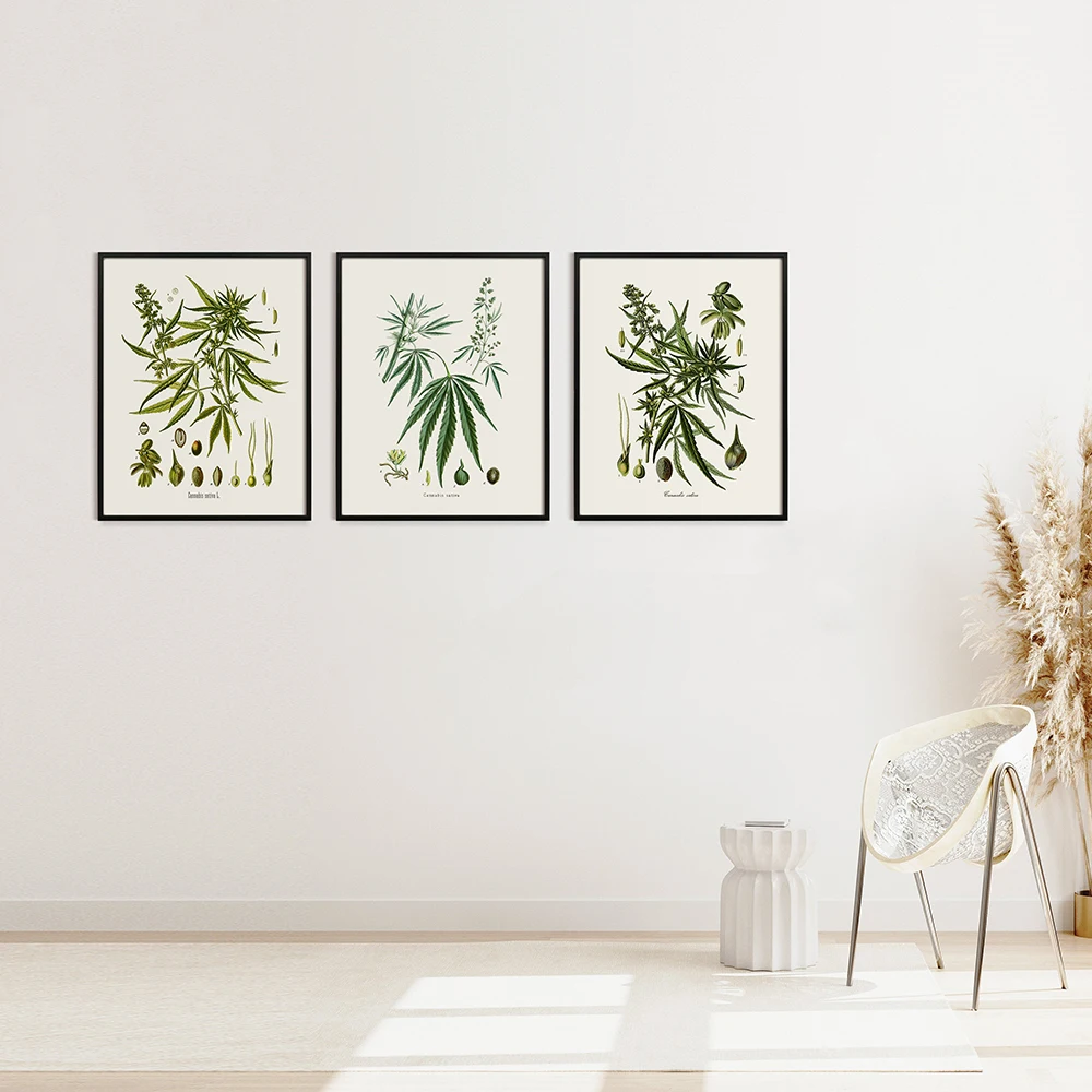 Винтажные ботанические плакаты HD принты Картина на холсте кухонные картины