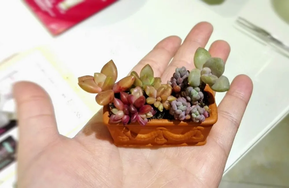 Миниатюрные аксессуары для кукольного домика миниатюрный керамический