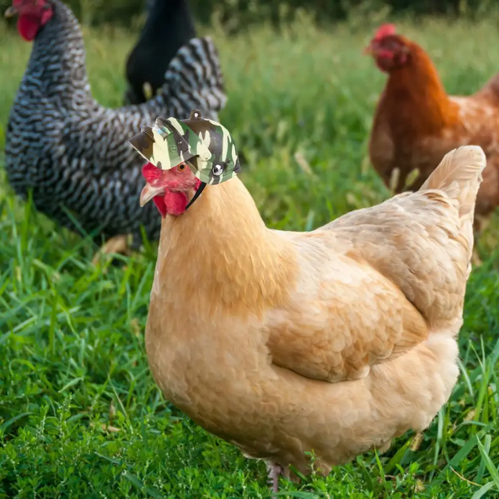 

Pet Helmet Funny Chicken Helmet Head Protection Compact Chicken Hen Ducks Birds Hard Hat Head Helmet Pet Supplies Wholesale