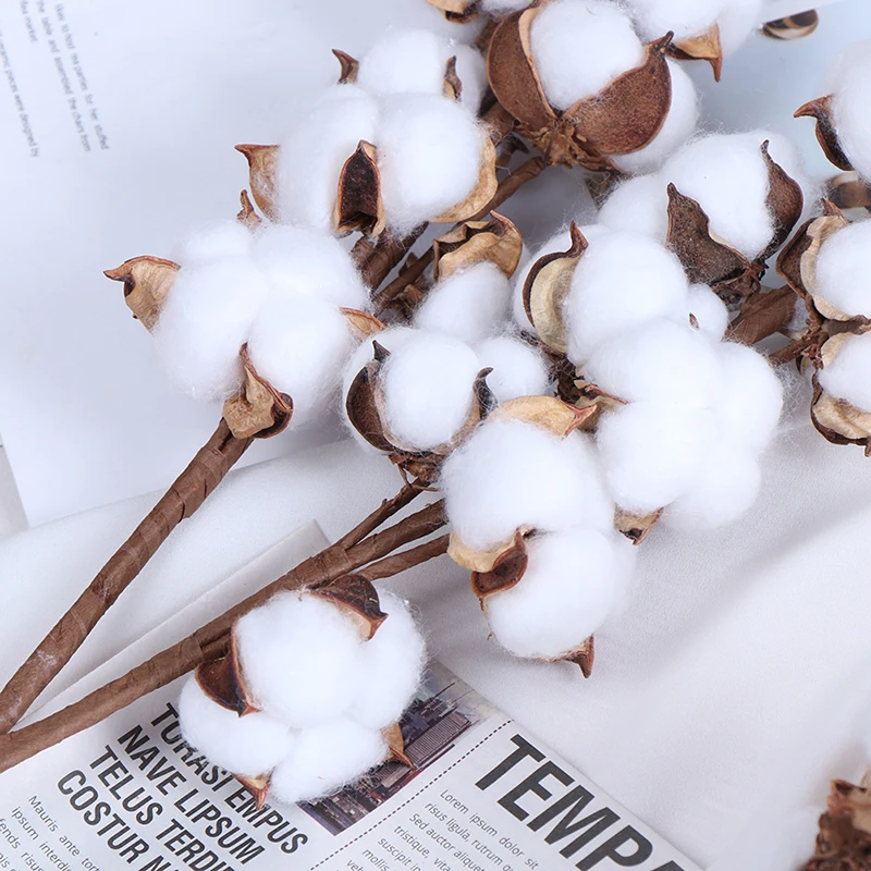 Натуральные сухие хлопковые цветы 1 шт. искусственные растения Цветочная ветка