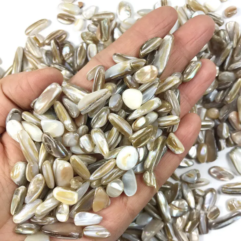 Прямая поставка 50 г 3 вида ракушек искусственные кварцевые кристаллы