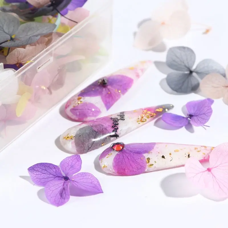 DIY наполнителя для дизайна ногтей Популярные сухие вечные цветы красивые ногти