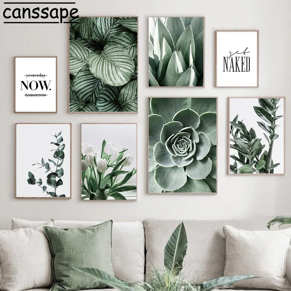 Настенная картина с изображением растений-суккулентов цветов зеленых растений