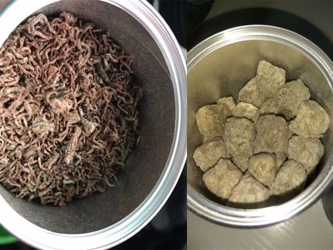 Высушенный красный Worm крови трубочник или рассоле креветок кубик аквариум для