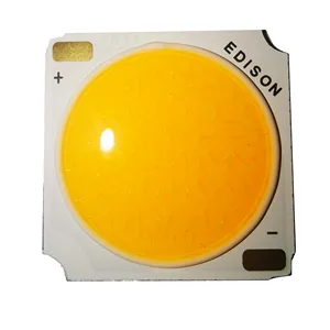 20 шт. cob led 30 Вт 19 мм 36 в-40 в 12C5B 3000Kled настенные лампы фары Прожекторы потолочные светильники