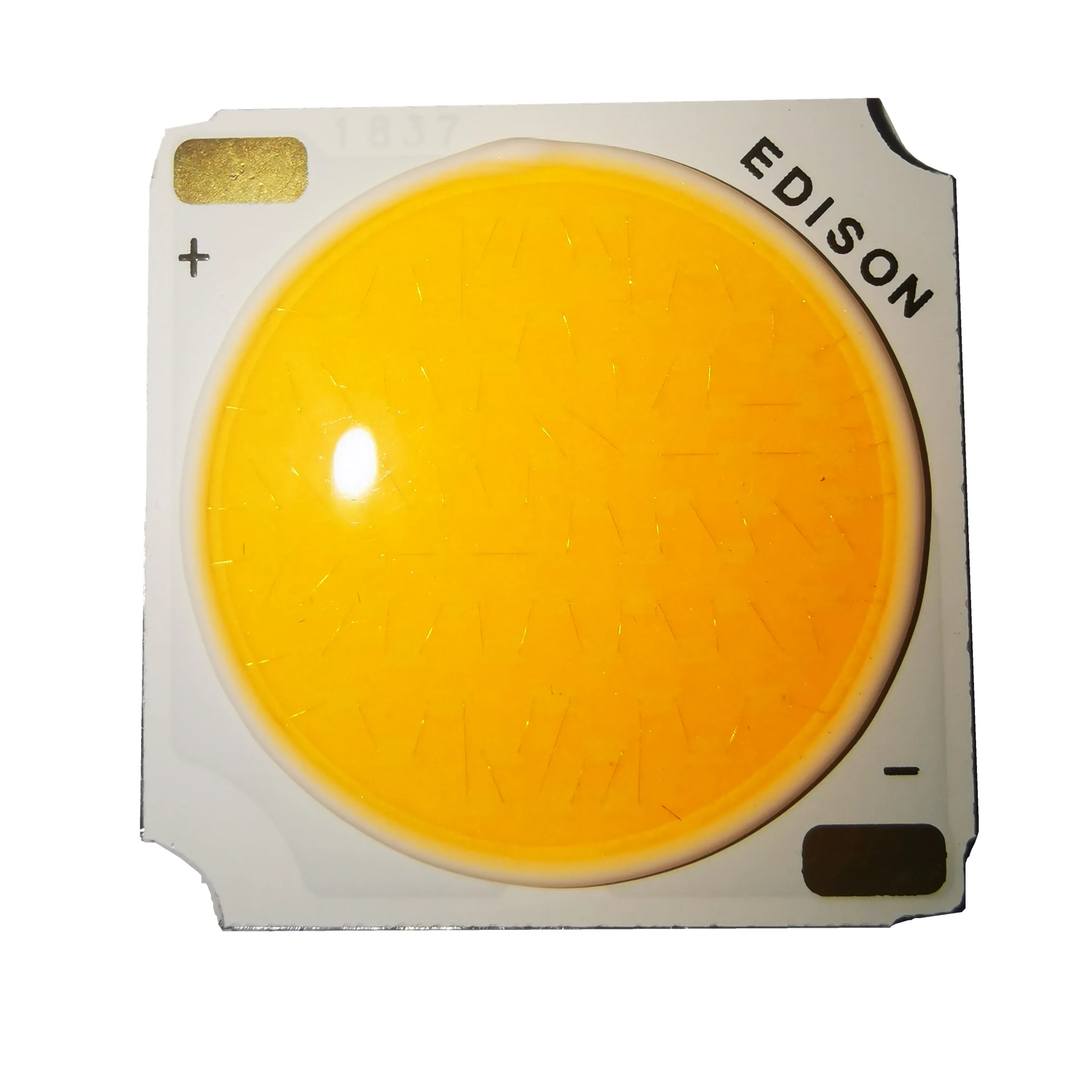 5pcs 19MM COB 12C-5B-60chips 30W 36V-40V Warm natural noon white led Wall Lamps Headlamps Spotlights Ceiling Lights Downlights | Освещение