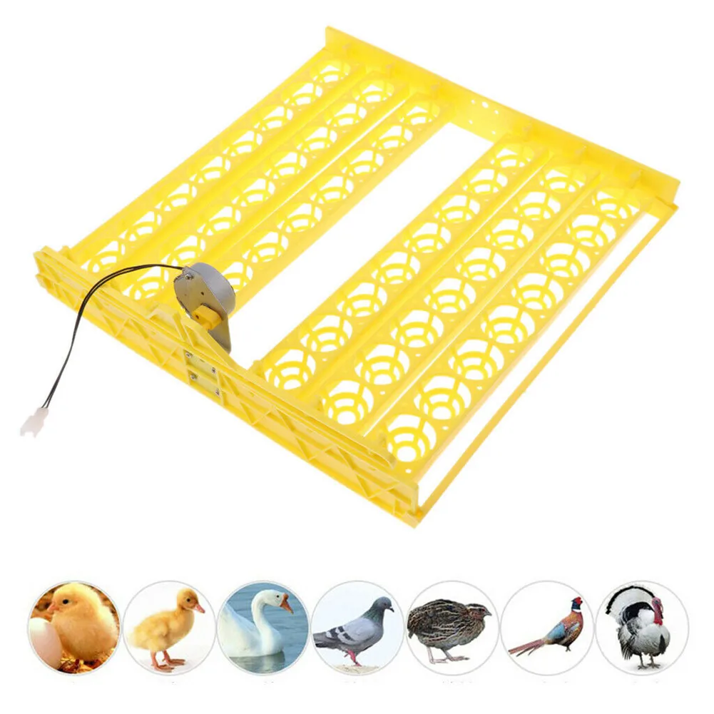 

Hot Automatic Eggs Turner 56 Egg Chicken Duck Birds Poultry 110V Incubators Tray D6