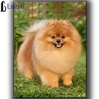 Мозаика с изображением собаки из померанского шпица, полноразмерная круглая картина из страз, вышивка стразами сделай сам, стразы с животными