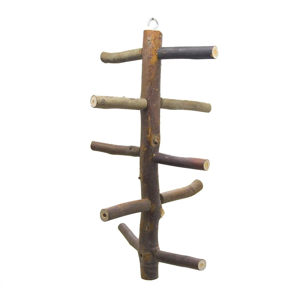 Попугай хомяк медовый мешок крот Игрушка птица игрушка подпоясанная бревна