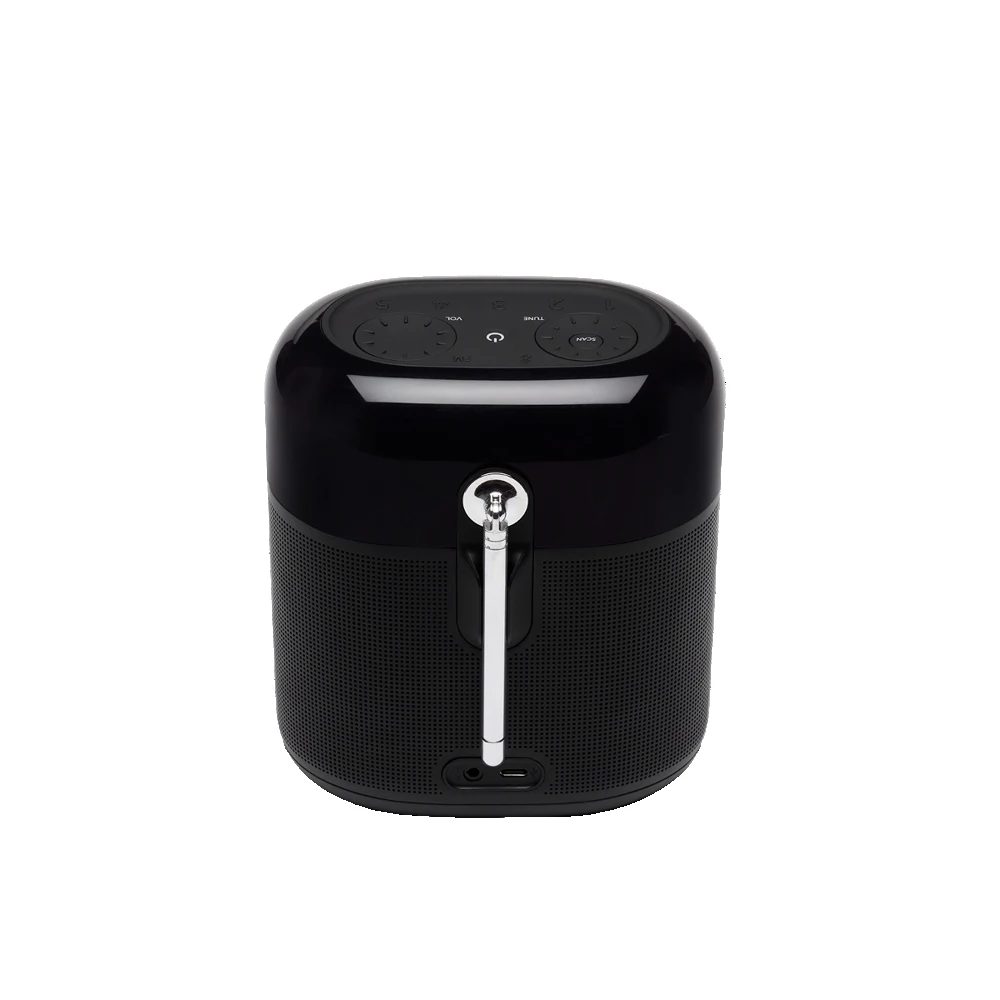 Портативная колонка JBL Tuner XL (JBLTUNERXLFMBLKRU) черный |