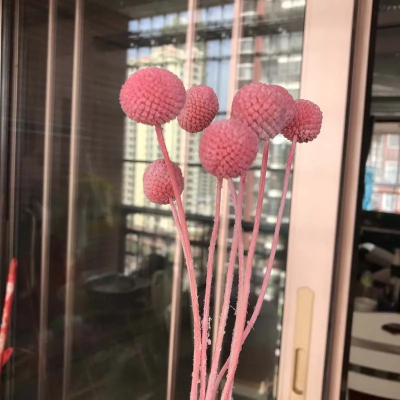 light pink 7Pieces 1,5-2 см голова, длина 20 см Декоративные консервированные цветы шар, Натуральный Свежий Eternell Craspedia букеты, навсегда золотые шары цветок - Цвет: light pink 7Pieces