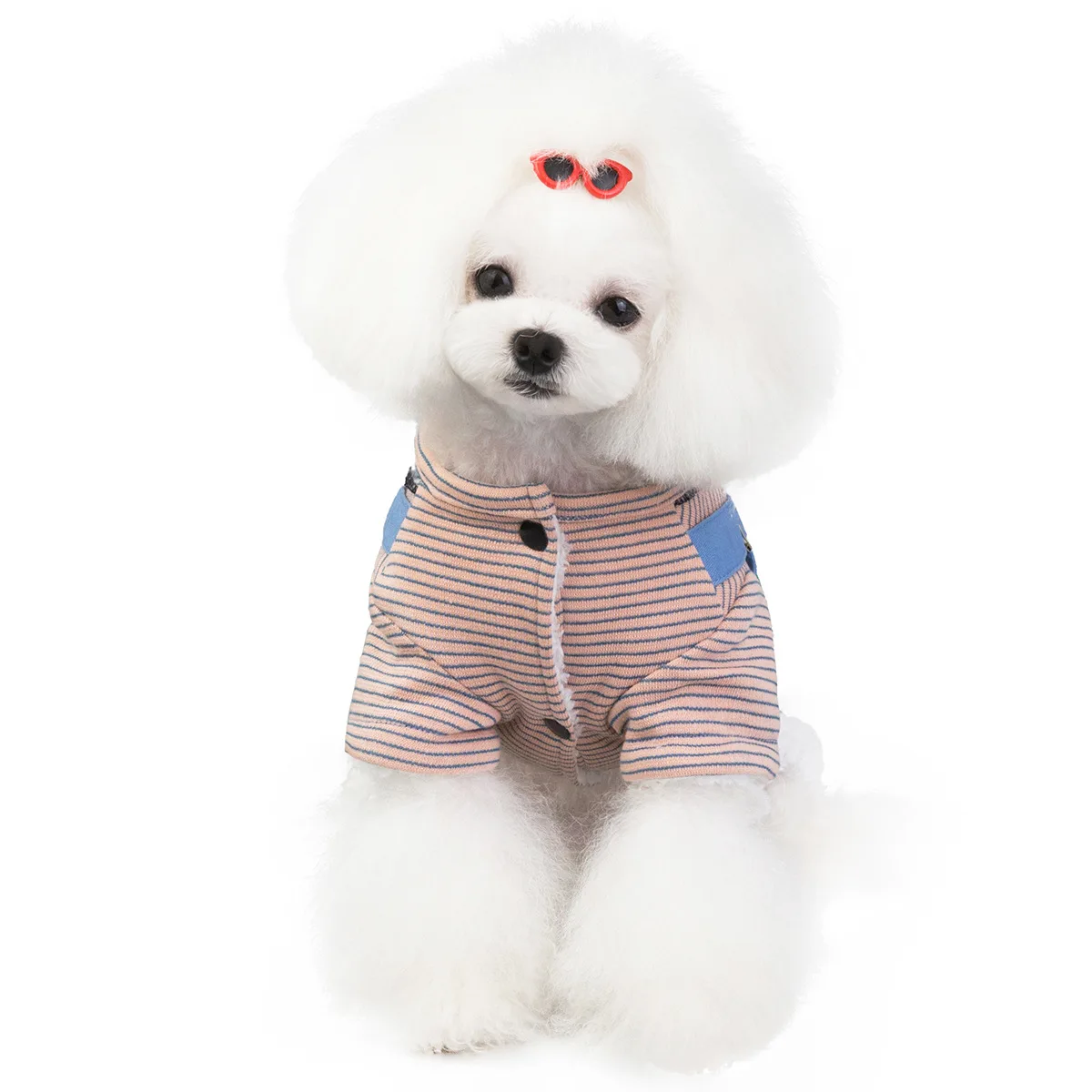 Новая зимняя одежда для собак джинсовая Комбинезоны Одежда джинсовые штаны