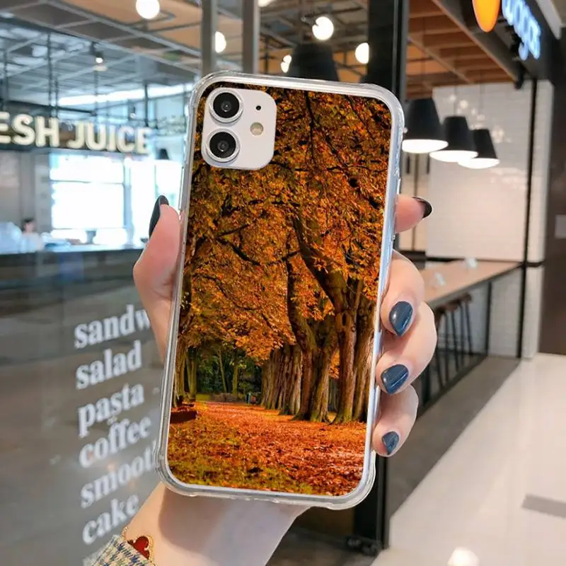 

Autumn Breeze Phone Case Transparent for iPhone 11 12 mini pro XS MAX 8 7 6 6S Plus X 5S SE 2020 XR