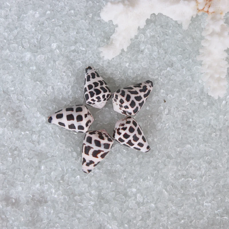 Бесплатная доставка (10 шт./лот) миниатюрный милый конус иврит натуральная