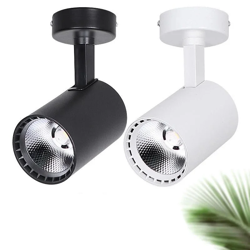 

Led light home decoration background wall ceiling single lamp 10W 15W 20W 30W Clothing store super bright ceiling coB spotlights