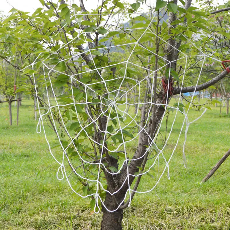 

1.5M Fairy string Lights Festival Party Layout Hotel Light Spider Net LED Light Halloween Spider Web With LED Colorful Lights