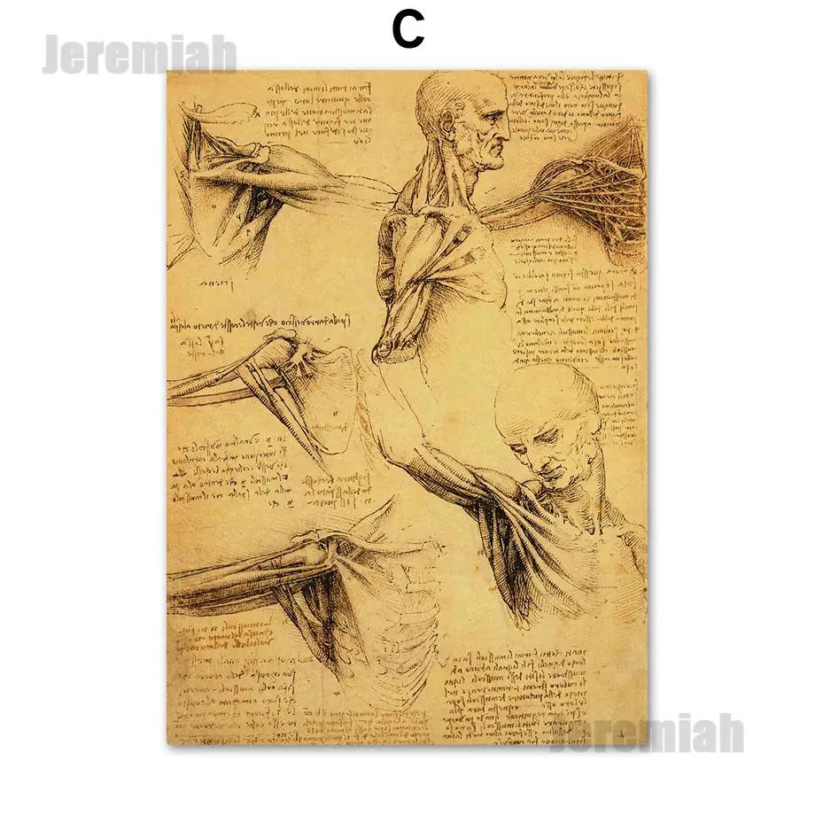 

Abstract Canvas Painting Human Organs Nordic Style Waterproof Ink Canvas Print Art Painting Modern Medicine Special Decoration