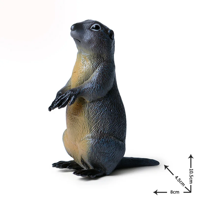 New Simulation Toys Solid Plastic Model Mouse Chipmunk Groundhog Squirrel Wild Animal World Decoration | Игрушки и хобби