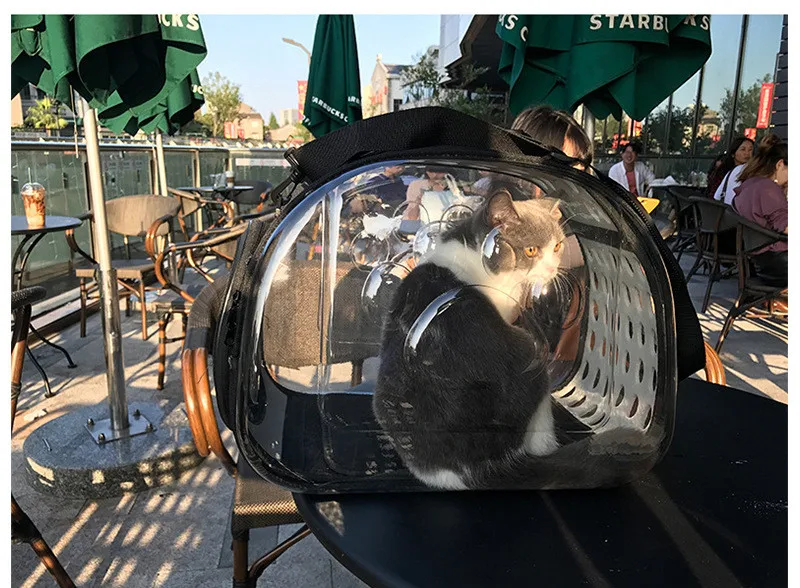 Прозрачная и дышащая Портативная сумка для кошек переносная домашних животных