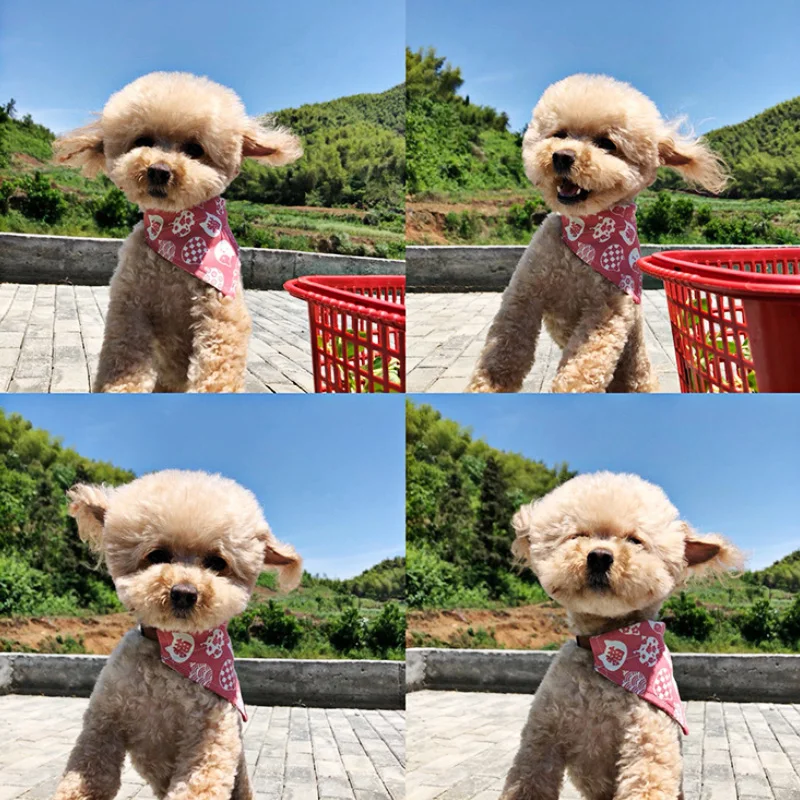 Нагрудники собака для маленьких собак регулируемый ошейник галстук кошачий шарф