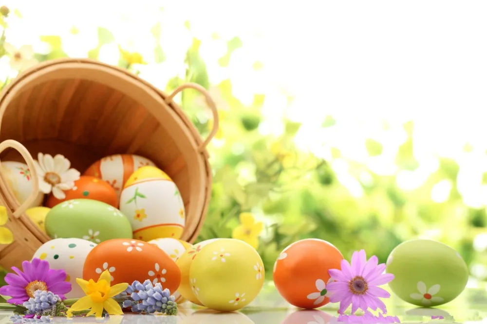 

SHUOZHIKE Vinyl Custom Photography Backdrops Prop Fairy Tale theme Photo Studio Background 171130-03