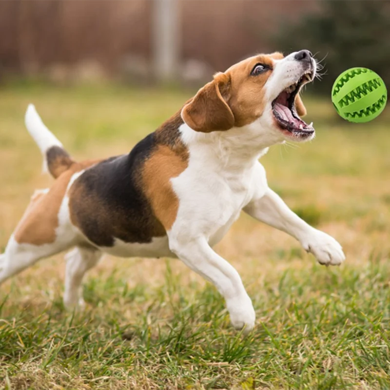 Мягкие игрушки для питомцев собак Забавный интерактивный эластичный шарик