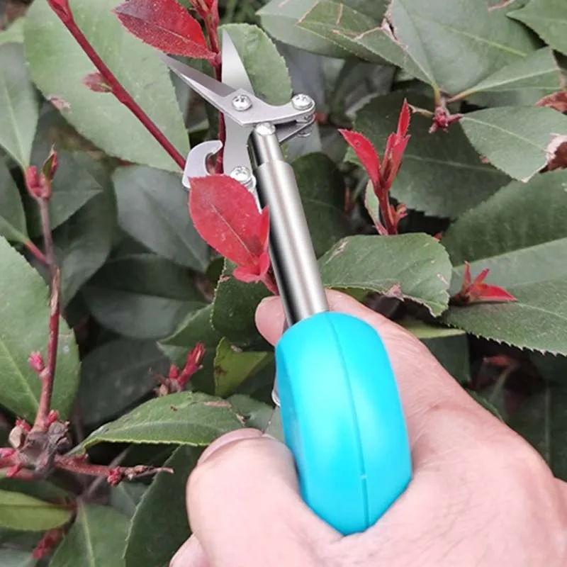 

Garden Plant Building Tools Precise Trimming Durable Special Scissors Ergonomic Comfortable For Garden