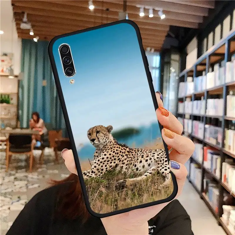 

Horror animal cheetah leopard Cats Phone Case For Samsung galaxy A S note 10 7 8 9 20 30 31 40 50 51 70 71 21 s ultra plus