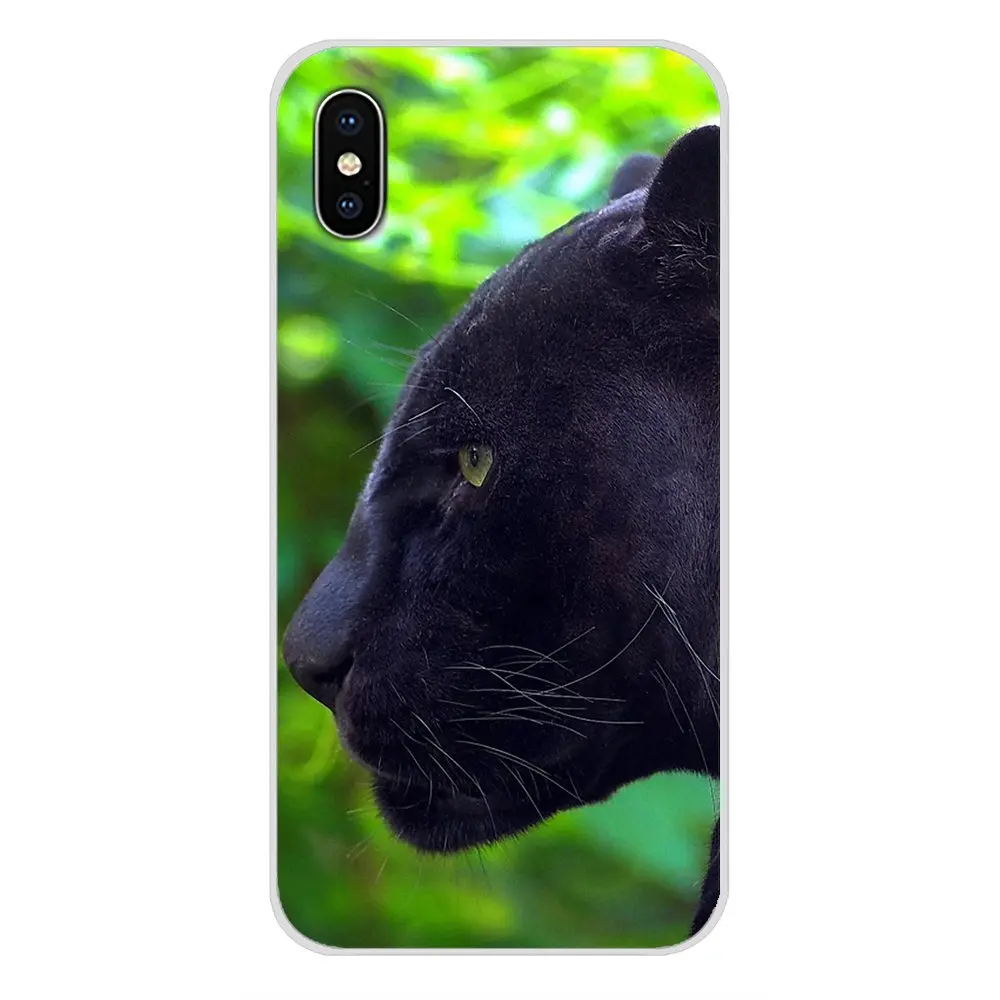 Чехлы для телефонов Apple iPhone X XR XS 11Pro MAX 4S 5S 5C SE 6S 7 8 Plus ipod touch 5 6 с изображением черной