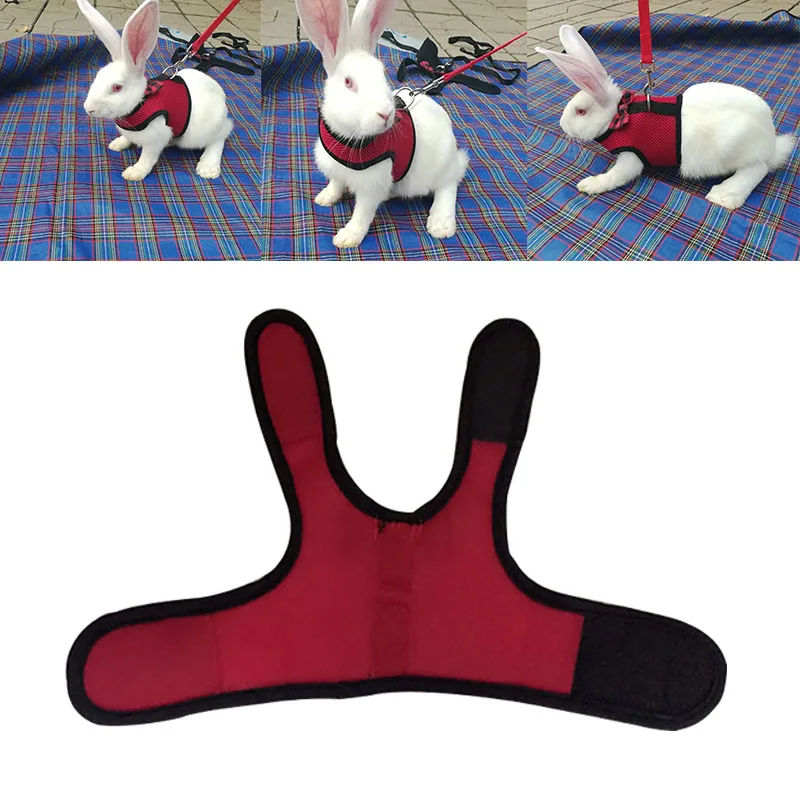 Поводок для домашних животных кролик хомяк набор поводков уличный свинцовый