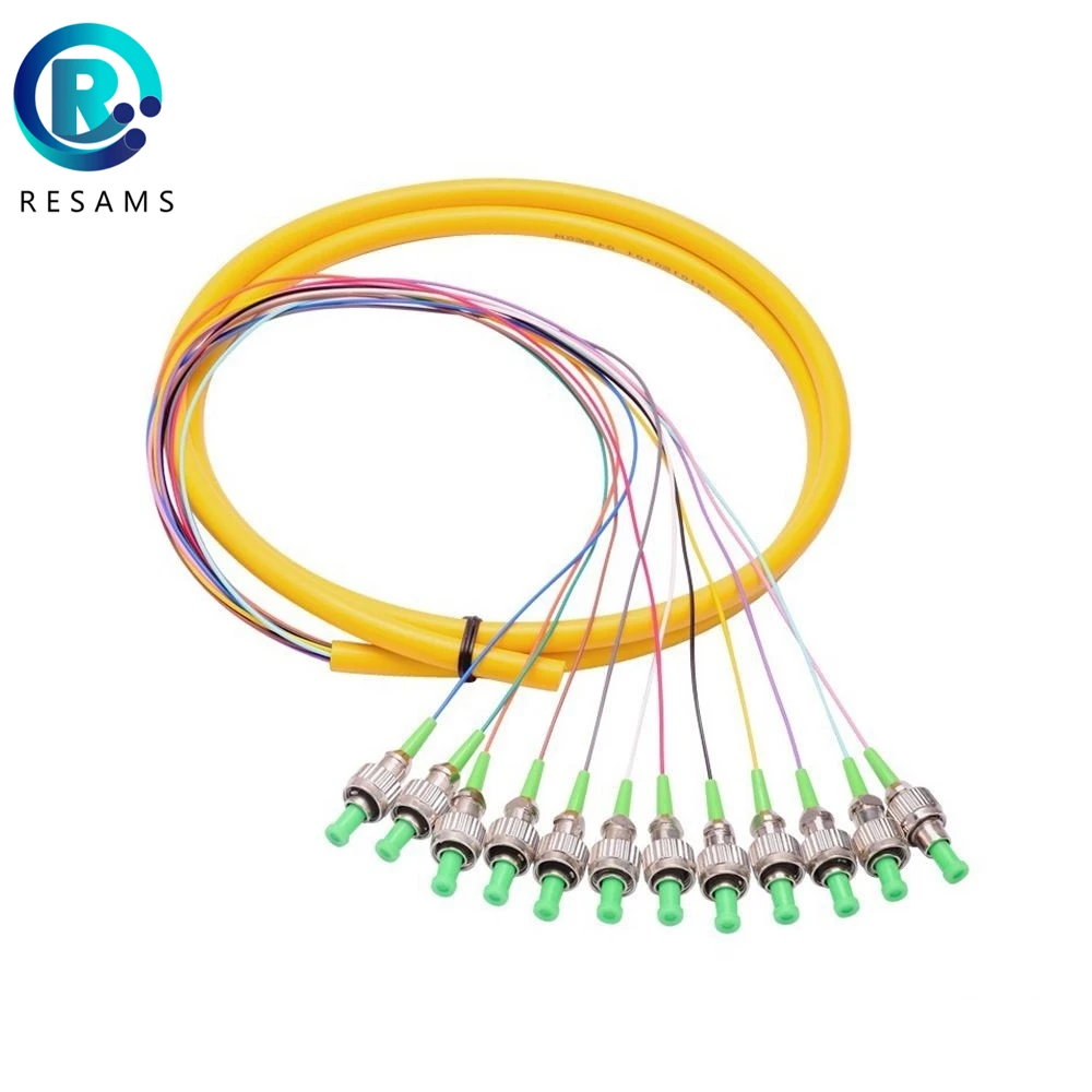 

Стабильная передача Resams, 12 ядер, низкие вносимые потери, профессиональный производитель, веток оптоволоконного соединительного шнура, повторяемость