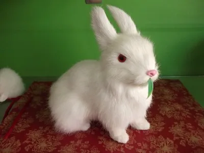 

Реалистичная игрушка, белый кролик, около 17x15 см, жесткая модель ручной работы, пластмассовые и меховые игрушки, квадратный кролик, украшение для дома, игрушка, подарок w4027