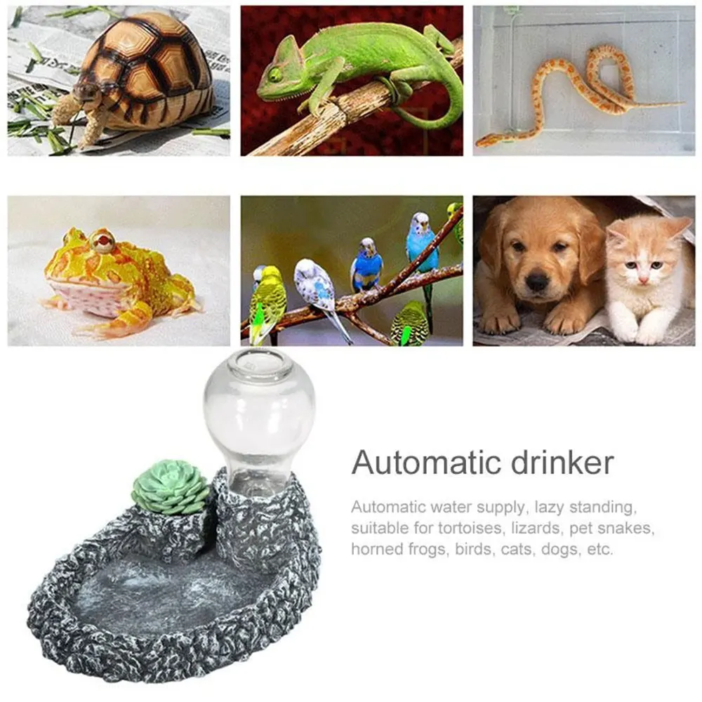 Диспенсер для воды стеклянная бутылка чаша раковины устройство подачи в виде