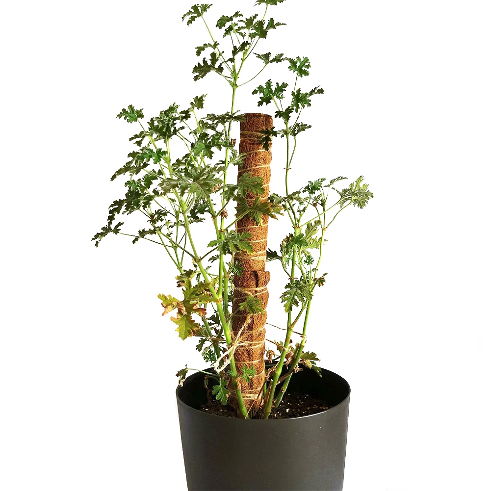 

Home Balcony Climbing Durable Office Coconut Fiber Coir Totem Pole Insert Garden For Plant Support Extension Easy Install Indoor