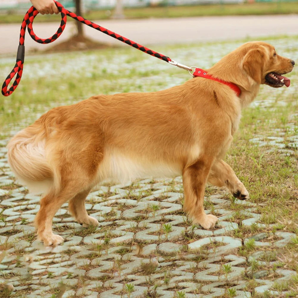 3 шт./компл. поводок для собак жгут с ошейником прогулочные товары щенков