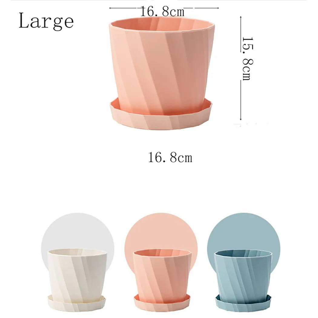 

Flower Flower Pot Garden Home Home Decor Indoor Succulents Plant Plastic