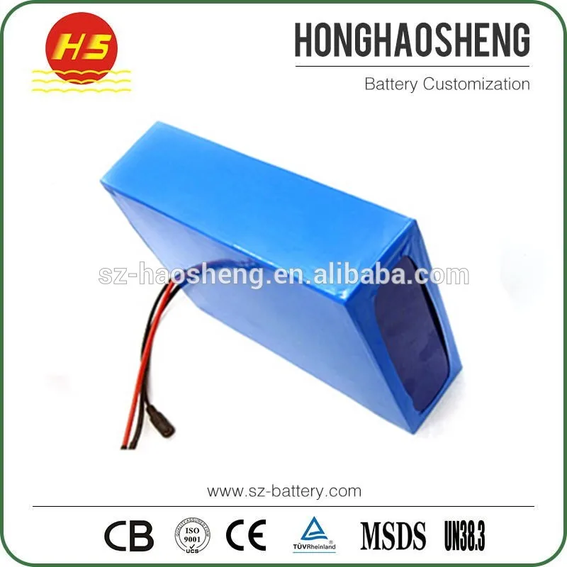 

Ebike Battery 48v 50Ah 2000W Electric Bike lithium battery pack with Charger and BMS