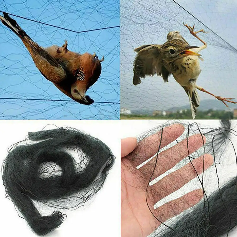 Рыболовная сеть с защитой от птиц | Дом и сад