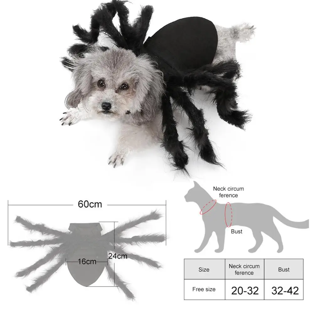 

Pet Products