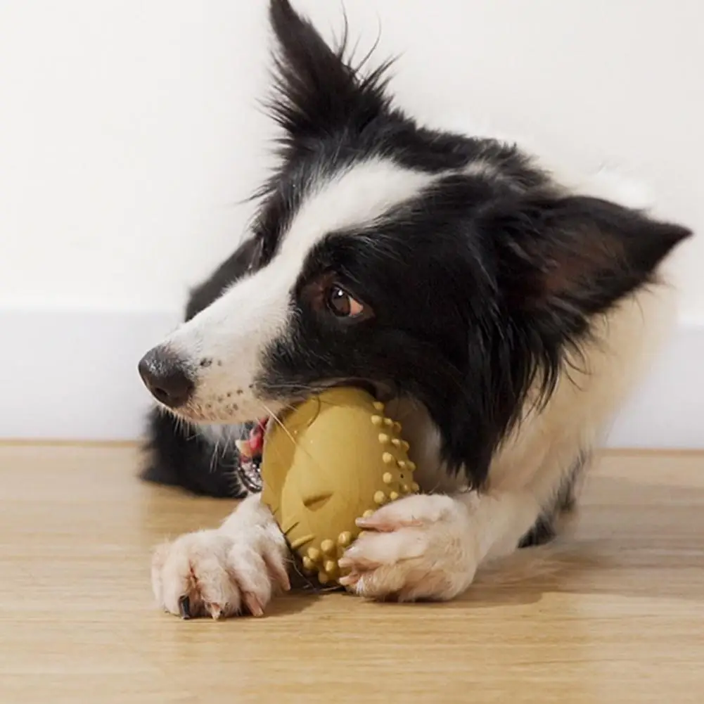 

Мягкая текстура, эффективное оформление лица, встроенный свисток, игрушка для укуса в помещении