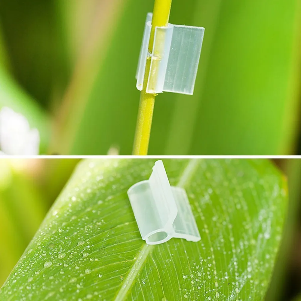 

20Pcs Agriculture Grafting Clips Flower Plant Vine Branches Clip 100% Brand New And High Quality