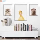 Кота выдра утенок плакат для детской животных Печать холст картины Детская комната украшения картинки котенок стены искусства подарка на празднование в честь будущего рождения ребенка