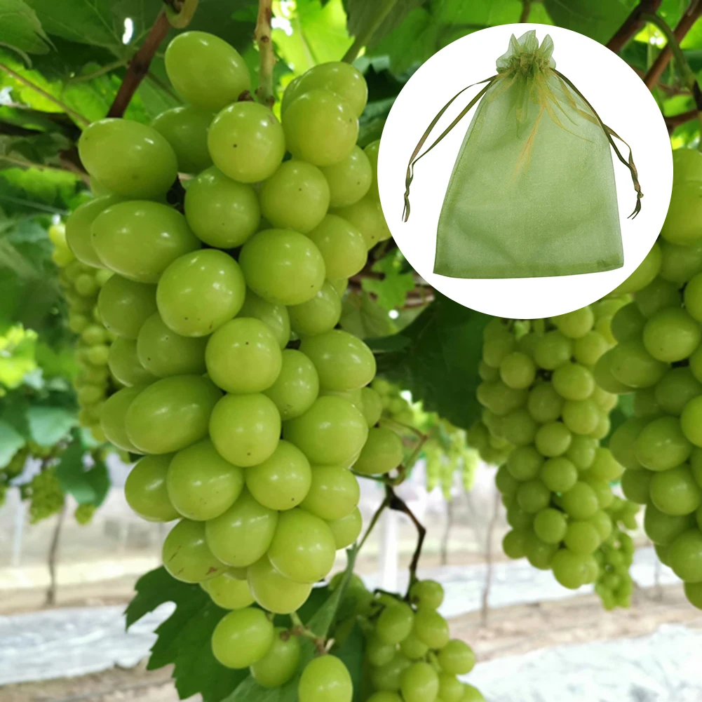 2021 New Protection Drawstring Mesh Bag Home Candy Pearl Storage Fruits Plant Nursery Bags Grapes Gardening | Дом и сад