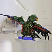 new foldable pet parrot bird standing platform rack toy stand bath shower perches suction wall cup birds toys accessories
