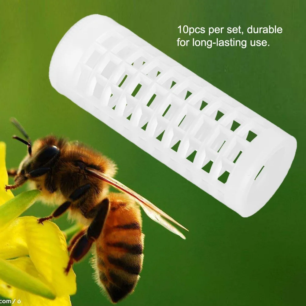 

50/pcs Queen Bee Cage Export Beekeeping Tools Queen Bee Rearing Box Queen Bee Rearing Table Beehive Box