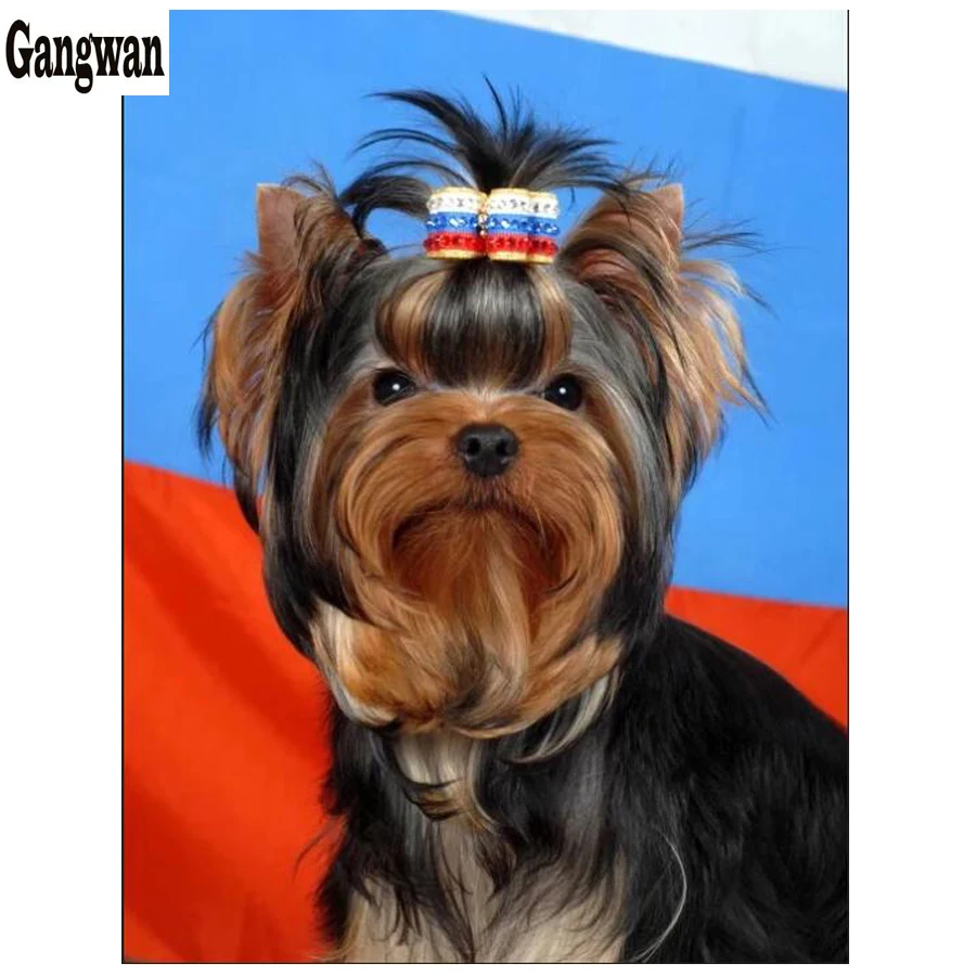 Стразы Вышивка своими руками 5D алмазная живопись йоркширский терьер собака