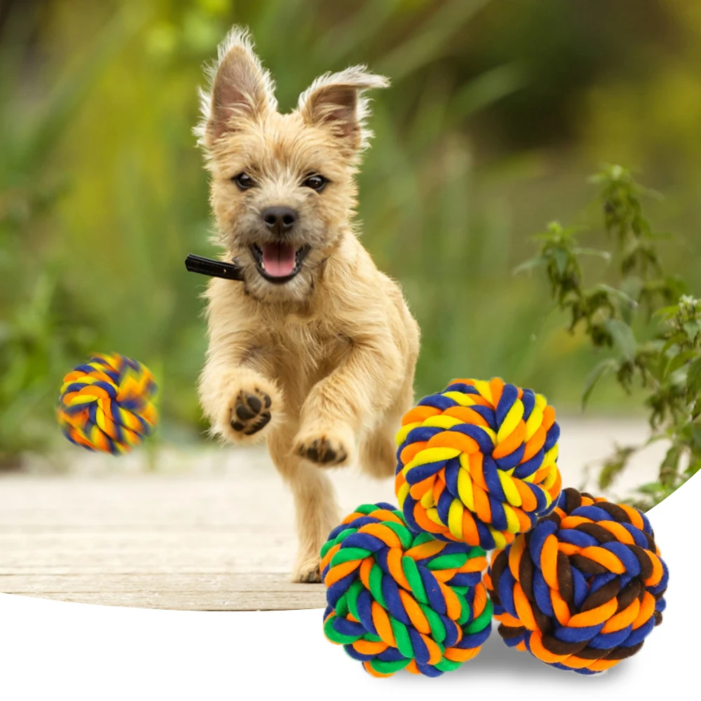 Лысый мячик собачка маленькая собака игрушка Померанский плюшевый укус упорные