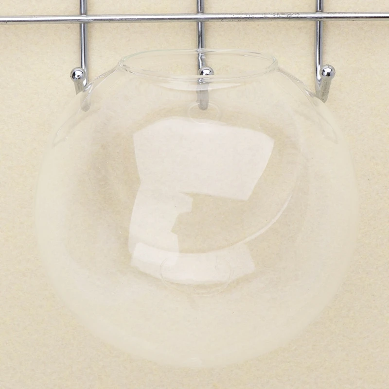 2020 новый настенный стеклянный цветок плантатор ваза Террариум контейнер